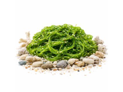 wakame web