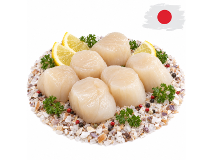 Mušle sv. Jakuba - Japonsko - 1000g — Produktová fotografie